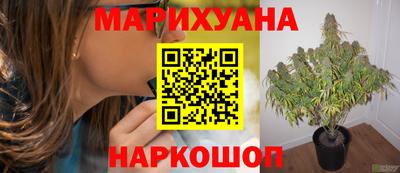 СК Нягань