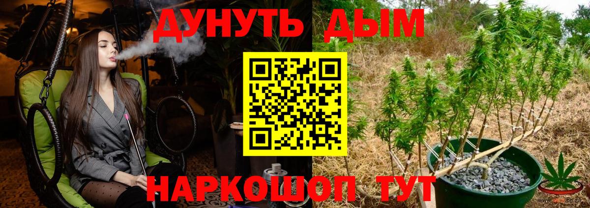 Соль-Илецк  Бошки Шишки OG Kush  Бошки марихуана сатива  Каннабис план  Вход с VPN 